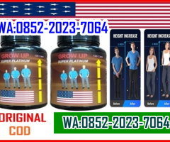 (0852-2023-7064) JUAL OBAT PENINGGI BADAN GROW UP PLATINUM DI BANDUNG - 2